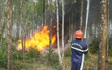 Chủ động các phương án phòng, chống cháy rừng mùa nắng nóng