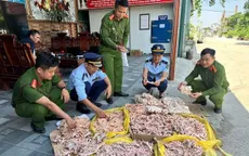 Phát hiện, thu giữ 500kg chân gà, đuôi lợn không rõ nguồn gốc