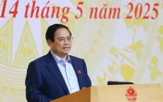 Thủ tướng: Có sự buông lỏng trong chống buôn lậu, gian lận thương mại, hàng giả