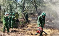 Kịp thời dập tắt đám cháy rừng phòng hộ ở Bình Định