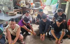 Xoá tụ điểm đá gà liên tỉnh ở Đà Nẵng