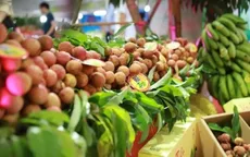 Gỡ điểm nghẽn, tìm hướng đi mới cho xuất khẩu rau quả