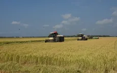 Đột phá khoa học công nghệ trong nông nghiệp
