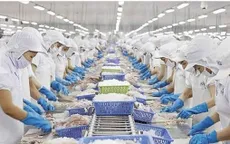 Thủy sản Việt Nam tìm cách thoát “bẫy phụ thuộc”