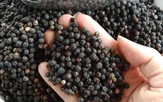 Việt Nam là nhà cung cấp hồ tiêu hàng đầu cho Hoa Kỳ