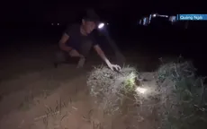 Người dân miền Trung tranh thủ ra đồng ban đêm tránh nắng nóng