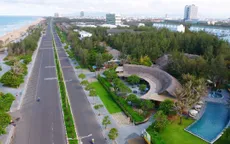 Rừng dương nơi phố biển