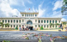 Mùa hoa dầu bay - ký ức trên những con đường Sài Gòn xưa