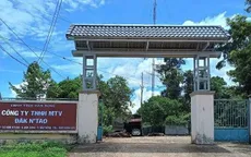 Nhiều cán bộ kiểm lâm, bảo vệ rừng bị hành hung, 1 phó giám đốc gãy xương sườn