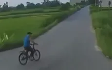 Tránh người đi xe đạp sang đường, xe tải lao xuống ruộng