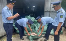 Phát hiện kho lạnh chứa gần 8 tấn chân gà không rõ nguồn gốc