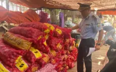Đắk Lắk: Phát hiện hàng tấn hành, tỏi, dược liệu, mỹ phẩm không rõ nguồn gốc
