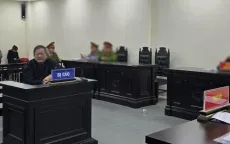 Tòa bác đơn kháng cáo của ông Trần Đình Triển, tuyên y án 3 năm tù