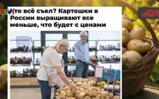 Nga đối mặt khủng hoảng thiếu khoai tây chưa từng có