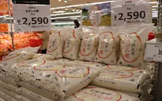 Nhật Bản cảnh báo lừa đảo từ các trang web bán gạo siêu rẻ