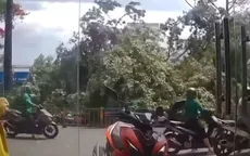 Video: Người đàn ông thoát chết khi cây đổ trúng lúc đang chạy xe
