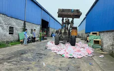Tiêu hủy gần 2.000 gấu bông “Baby Three” chứa chất độc hại