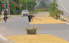 Phơi thóc lúa giữa quốc lộ, nguy cơ tai nạn giao thông rình rập