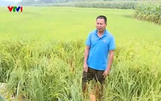 San gạt núi trái phép gây sạt lở xuống ruộng canh tác của người dân