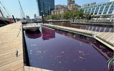 Khoảng 7.500 lít dầu diesel tràn ra sông Baltimore, Mỹ