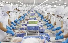 Xuất khẩu thủy sản nhiều gam màu sáng