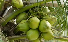 Xuất khẩu duy trì tăng trưởng