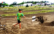 Ngày hè của những “diêm dân nhí”