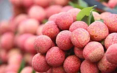 Thị trường nội địa "tiếp sức" cho nông sản Việt