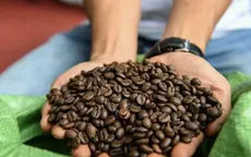 Giá cà phê biến động trái quy luật