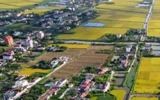 ĐBQH: Miễn thuế sử dụng đất nông nghiệp cần có điều kiện ràng buộc