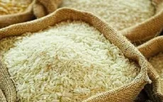 Việt Nam có thêm cơ hội xuất khẩu gạo sang Nhật