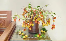 Độc đáo trào lưu cắm cành vải thành hoa