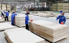 Thách thức xuất khẩu 18 tỷ USD xuất khẩu của ngành gỗ