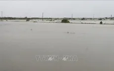 Bão số 1: Bộ Xây dựng chỉ đạo khẩn bảo đảm an toàn cho người và phương tiện giao thông