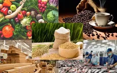 Thị trường nông sản chìm trong “sắc đỏ”: Xuất khẩu Việt Nam chịu áp lực