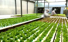 Bổ sung chính sách tín dụng phục vụ phát triển nông nghiệp, nông thôn