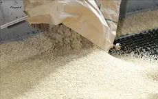 Nhật Bản tăng cường nhập khẩu gạo