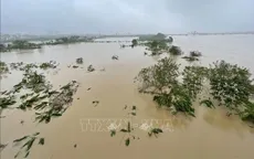 Cảnh báo lũ trên sông Cầu, sông Thương và mưa lớn cục bộ ở nhiều khu vực