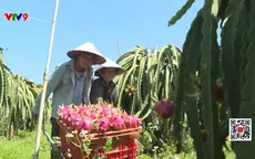 Định vị hàng Việt Nam trong chuỗi bán lẻ toàn cầu