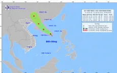 Áp thấp nhiệt đới giật cấp 8, cách quần đảo Hoàng Sa khoảng 440 km