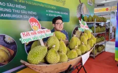Đa dạng hình thức xúc tiến hàng Việt Nam
