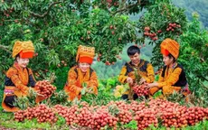 Thủ tướng yêu cầu báo cáo rà soát thông tin nông sản Việt đối diện với rủi ro vì truy xuất nguồn gốc