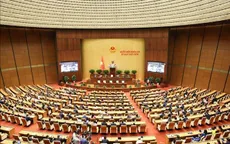 Nghị quyết chỉ định Trưởng Đoàn, Phó Trưởng Đoàn đại biểu Quốc hội