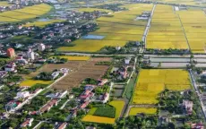 Kiến nghị tăng giá đất nông nghiệp bằng 65-70% đất ở