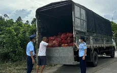 Chặn đứng 17 tấn hải sản không nguồn gốc tuồn vào nội địa