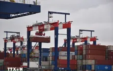 EU không đưa lĩnh vực số vào bàn đàm phán thương mại với Mỹ