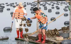 Bố ơi mình đi đâu thế - Tập 4: Các bố ra khơi thu hoạch hàu 'trả nợ'