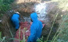 Quảng Trị: Dịch tả lợn châu Phi xuất hiện tại nhiều địa phương