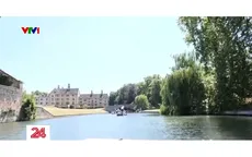Nguy cơ chèo thuyền ở Cambridge bị dừng vì nước cạn