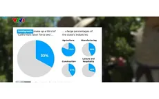Ngành nông nghiệp Mỹ đối mặt "vết nứt" chuỗi cung ứng